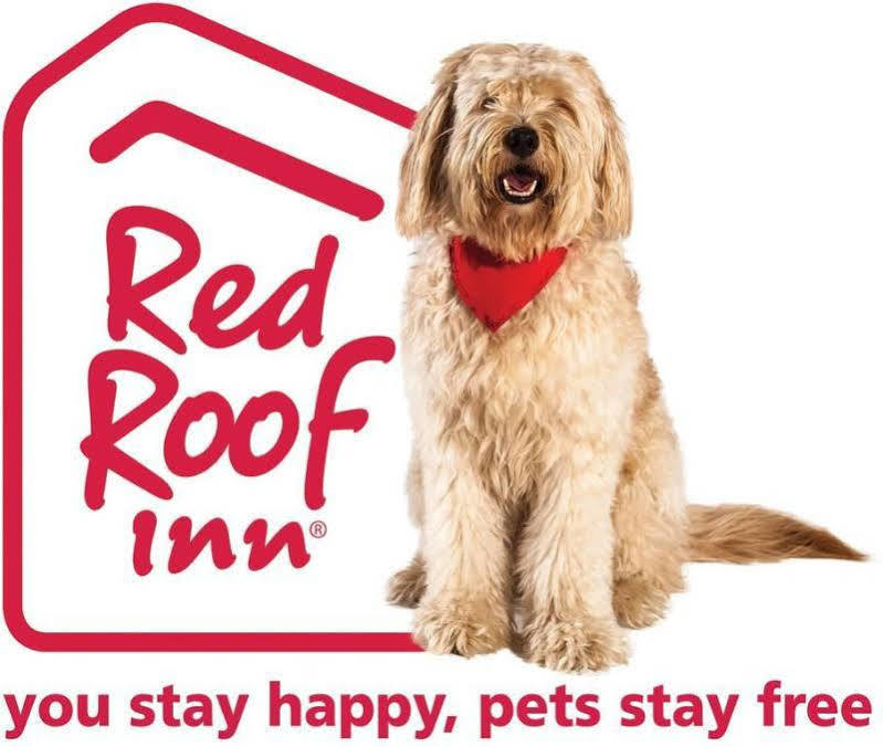 Red Roof Inn Akron Luaran gambar